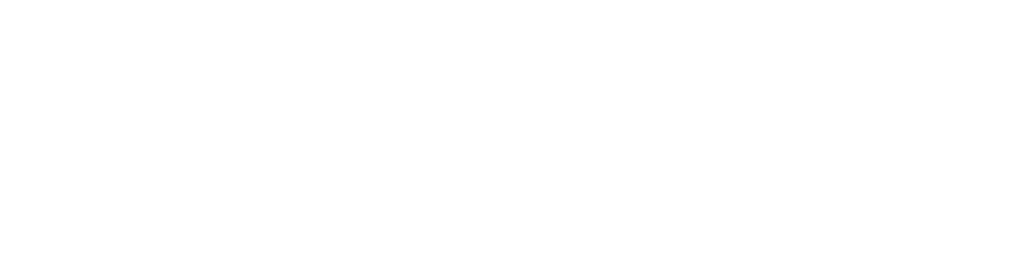 CEDRO Gerenciamento de Projetos